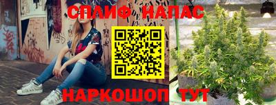 твердый Сланцы
