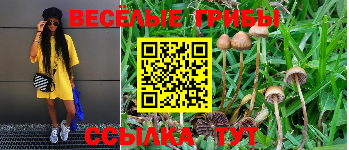Псилоцибиновые грибы Psilocybine cubensis Нурлат