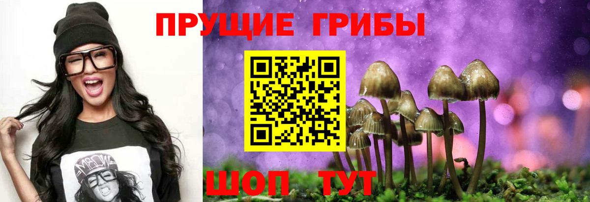 наркотики  Галлюциногенные грибы Cubensis  Вход с VPN  Нурлат  Псилоцибиновые грибы ЛСД 